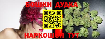 стафф Заводоуковск