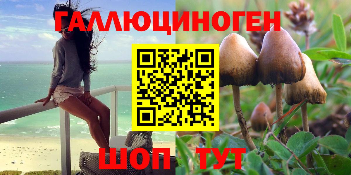 Псилоцибиновые грибы GOLDEN TEACHER Усть-Лабинск