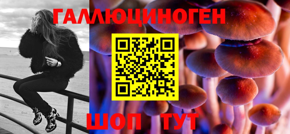 Усть-Лабинск  Псилоцибиновые грибы ЛСД  цены наркотик  Вход с VPN 
